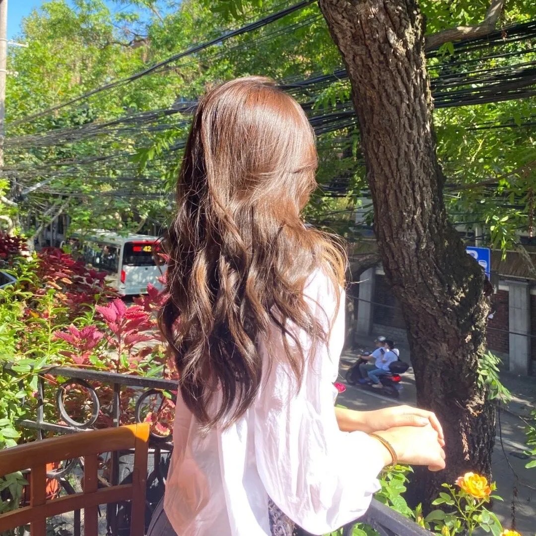 落花时节又逢君
